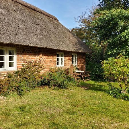 Ringkobing Fjord B&B Skjern Kültér fotó
