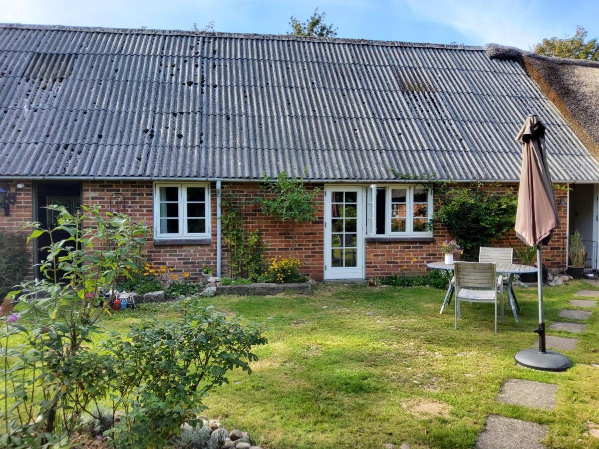 Ringkobing Fjord B&B Skjern Kültér fotó