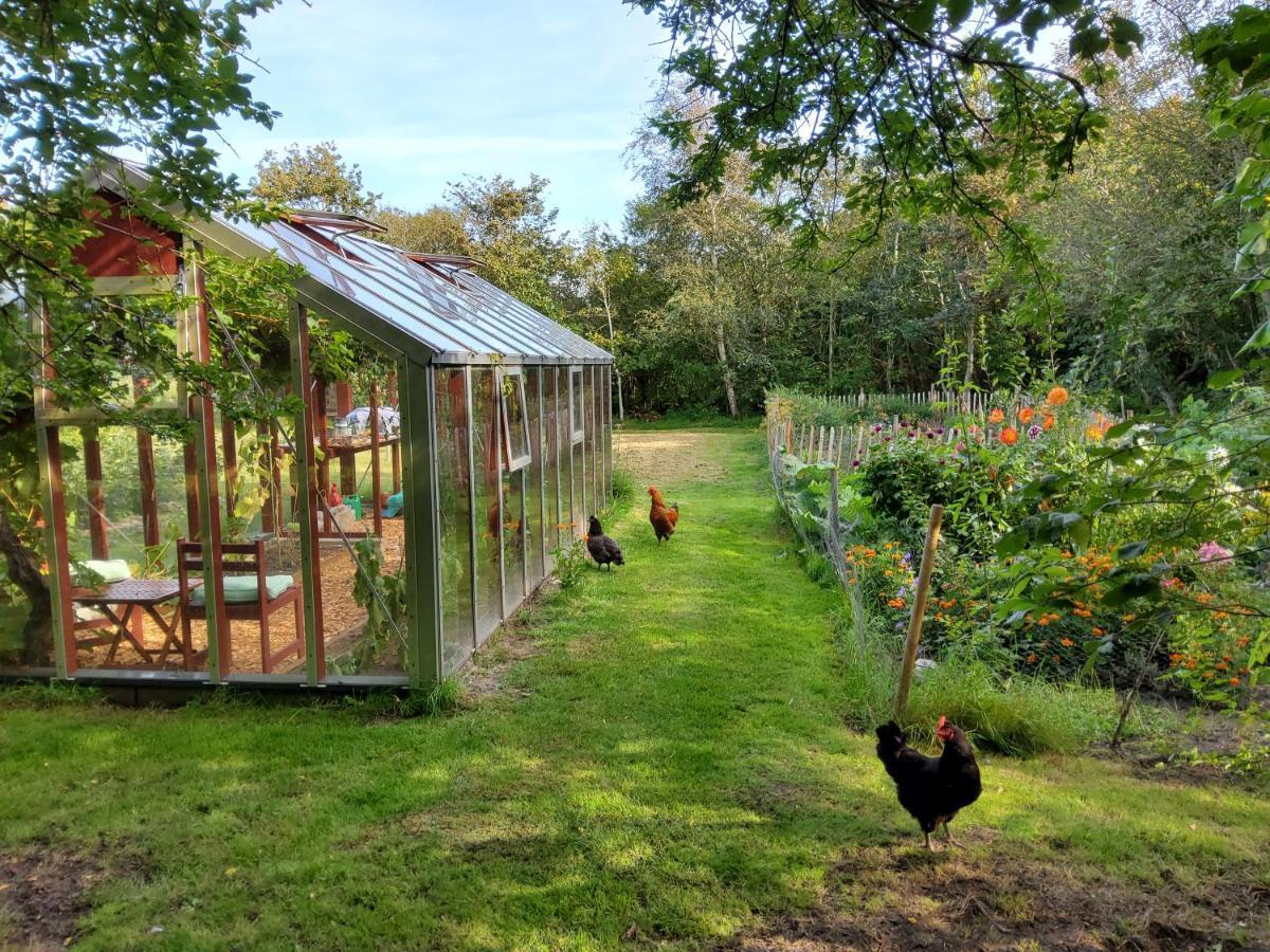 Ringkobing Fjord B&B Skjern Kültér fotó